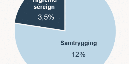 Skjámynd 2024-08-13 144812